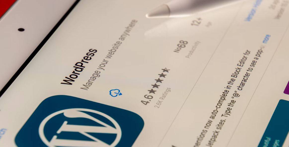 Een wordpress website bouwen, 10 tips waar je niet zonder kan